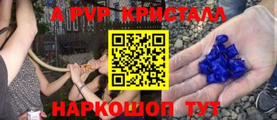 гашик Кимры