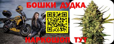 прущие грибы Кингисепп