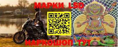 прущие грибы Кингисепп