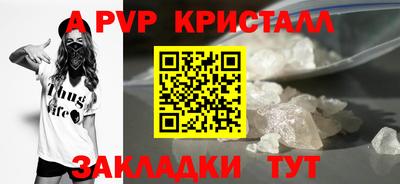 прущие грибы Кингисепп