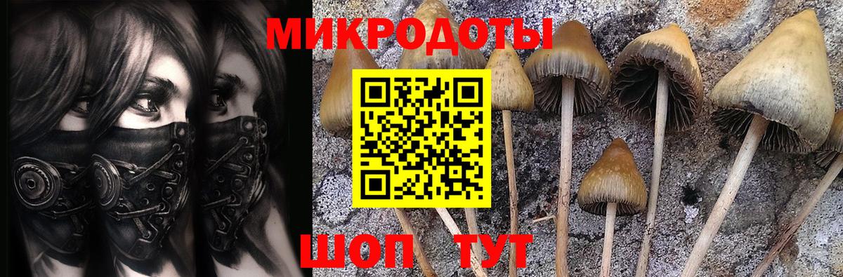Галлюциногенные грибы Magic Shrooms Красноармейск