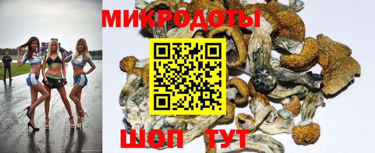 Красноармейск  Псилоцибиновые грибы Psilocybe  Вход с VPN 
